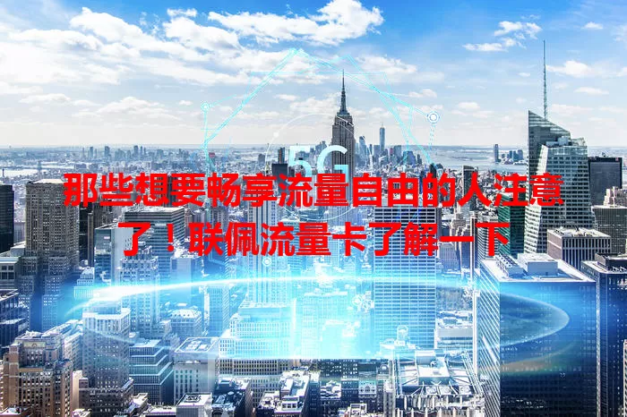 那些想要畅享流量自由的人注意了！联佩流量卡了解一下
