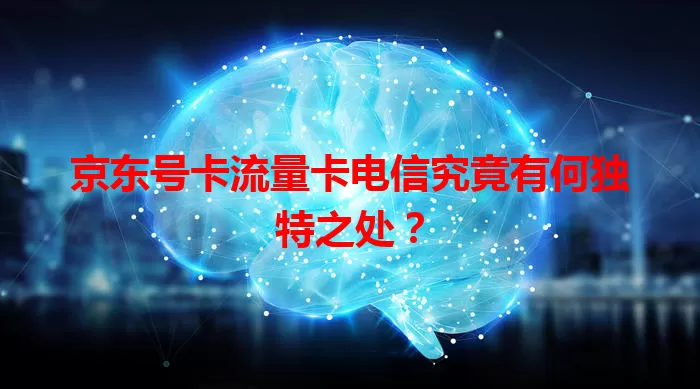 京东号卡流量卡电信究竟有何独特之处？