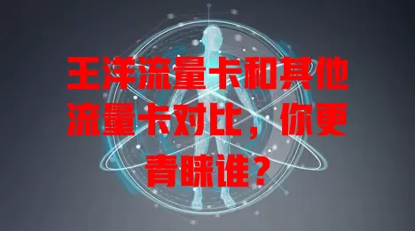 王洋流量卡和其他流量卡对比，你更青睐谁？