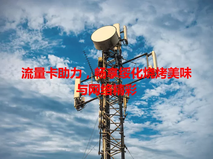 流量卡助力，畅享绥化烧烤美味与网络精彩