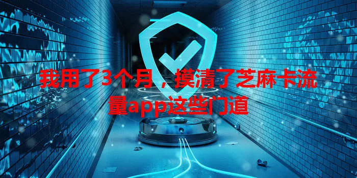 我用了3个月，摸清了芝麻卡流量app这些门道