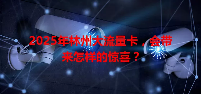 2025年林州大流量卡，会带来怎样的惊喜？