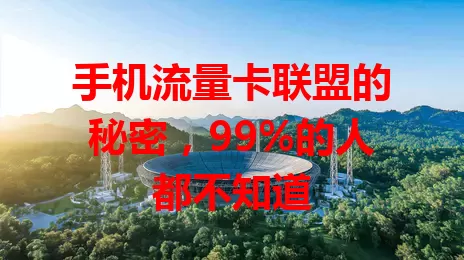 手机流量卡联盟的秘密，99%的人都不知道