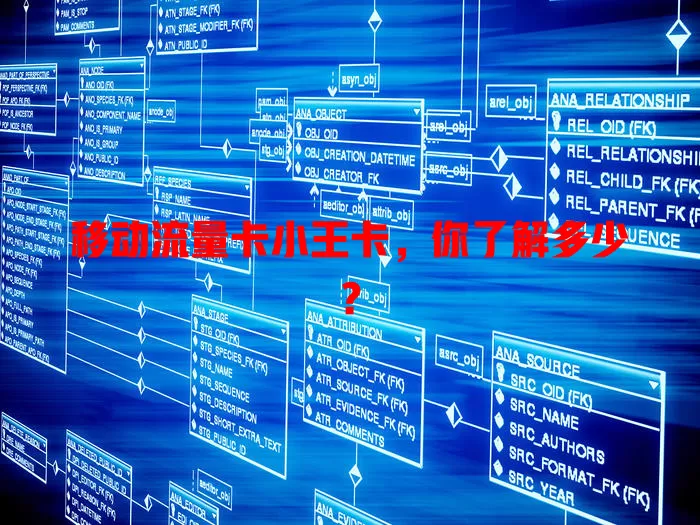 移动流量卡小王卡，你了解多少？