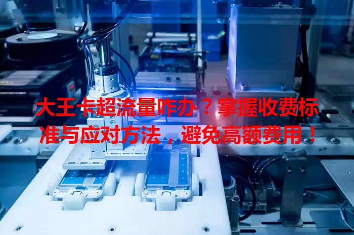 大王卡超流量咋办？掌握收费标准与应对方法，避免高额费用！