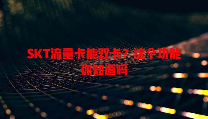 SKT流量卡能双卡？这个功能你知道吗