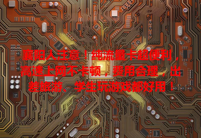 襄阳人注意！纯流量卡超便利，高速上网不卡顿，费用合理，出差旅游、学生玩游戏都好用！