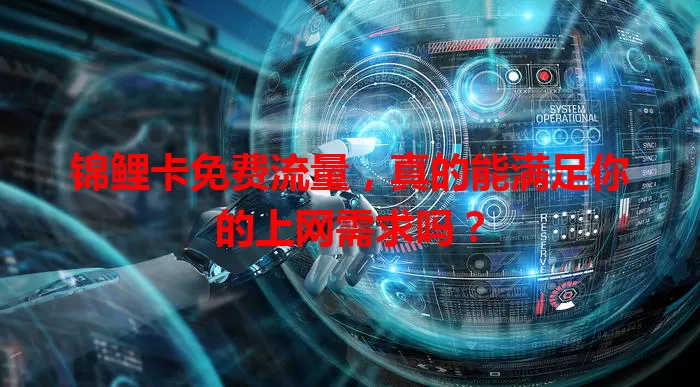 锦鲤卡免费流量，真的能满足你的上网需求吗？