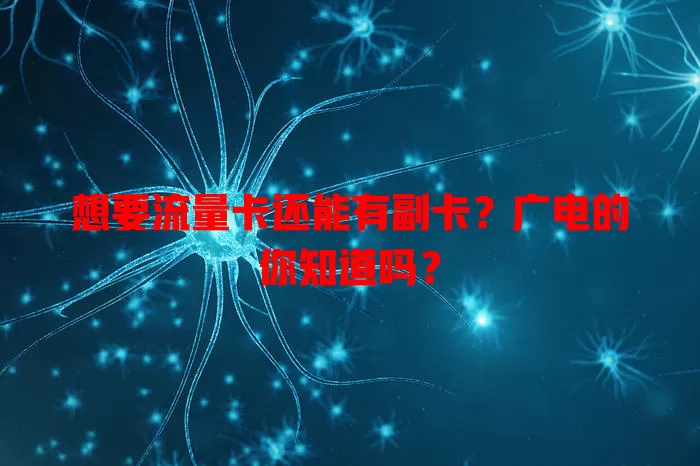 想要流量卡还能有副卡？广电的你知道吗？