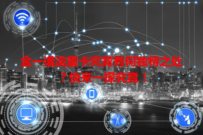 金一诺流量卡究竟有何独特之处？快来一探究竟！