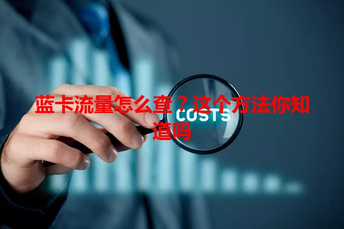 蓝卡流量怎么查？这个方法你知道吗