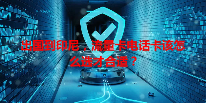 出国到印尼，流量卡电话卡该怎么选才合适？