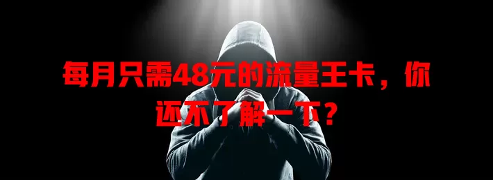 每月只需48元的流量王卡，你还不了解一下？