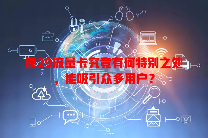 原29流量卡究竟有何特别之处，能吸引众多用户？