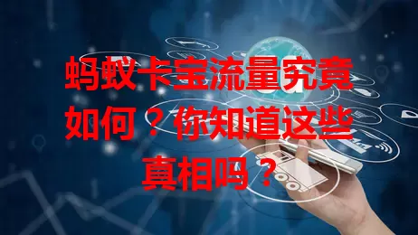 蚂蚁卡宝流量究竟如何？你知道这些真相吗？