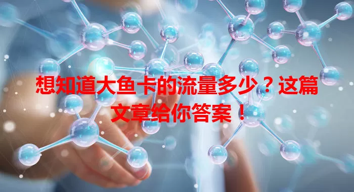 想知道大鱼卡的流量多少？这篇文章给你答案！