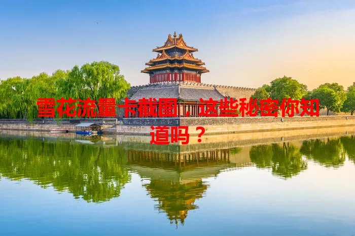 雪花流量卡截图，这些秘密你知道吗？