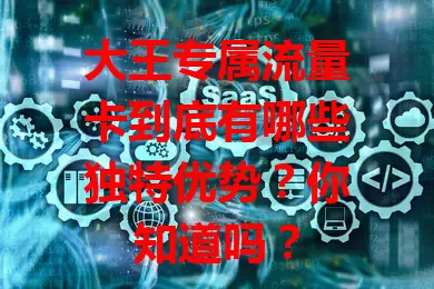 大王专属流量卡到底有哪些独特优势？你知道吗？