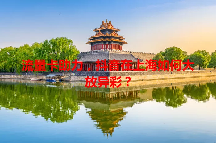 流量卡助力，抖音在上海如何大放异彩？