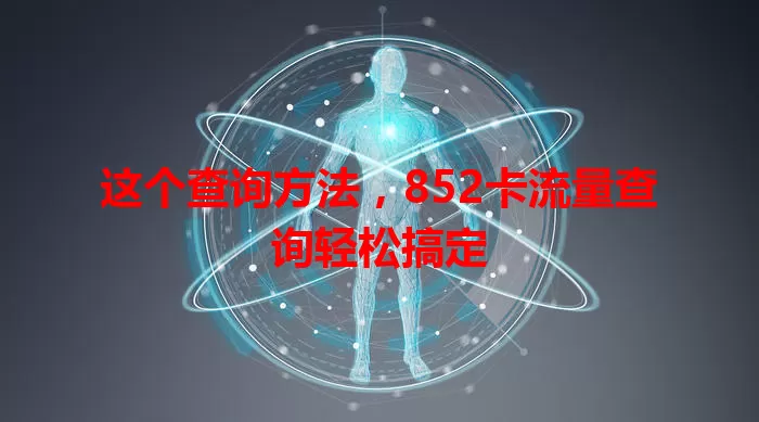 这个查询方法，852卡流量查询轻松搞定
