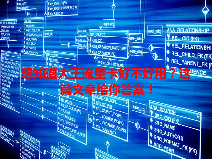 想知道大王流量卡好不好用？这篇文章给你答案！