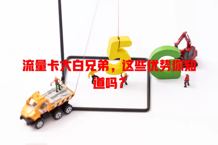 流量卡大白兄弟，这些优势你知道吗？