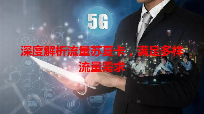 深度解析流量苏夏卡，满足多样流量需求