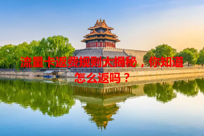 流量卡返费规则大揭秘，你知道怎么返吗？