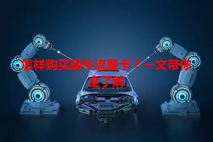 怎样购买蜗牛流量卡？一文带你全了解