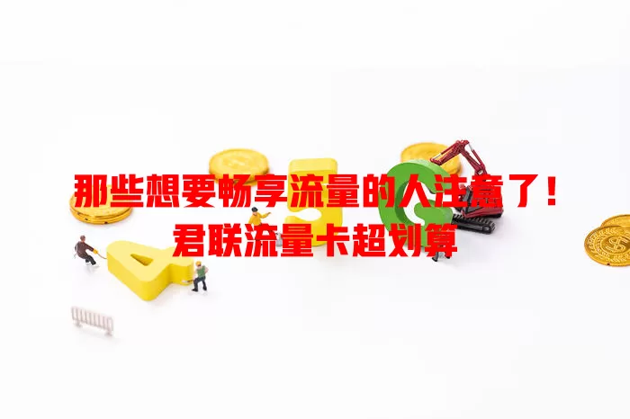 那些想要畅享流量的人注意了！君联流量卡超划算