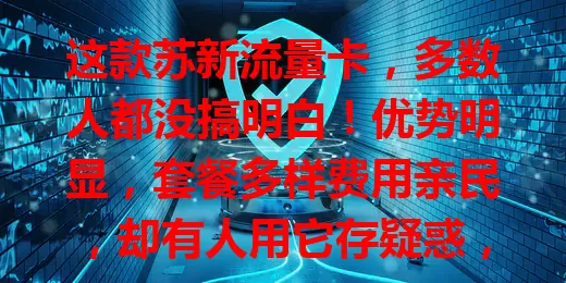这款苏新流量卡，多数人都没搞明白！优势明显，套餐多样费用亲民，却有人用它存疑惑，掌握技巧才能发挥其便捷实惠，让网络生活更精彩