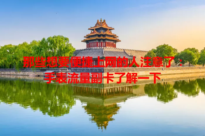 那些想要便捷上网的人注意了：手表流量副卡了解一下