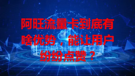 阿旺流量卡到底有啥优势，能让用户纷纷点赞？