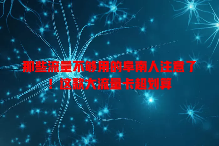 那些流量不够用的阜南人注意了！这款大流量卡超划算