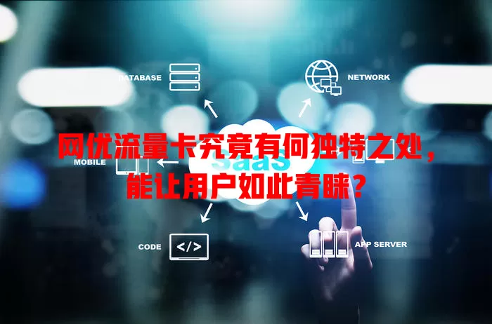 网优流量卡究竟有何独特之处，能让用户如此青睐？