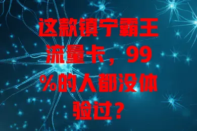 这款镇宁霸王流量卡，99%的人都没体验过？