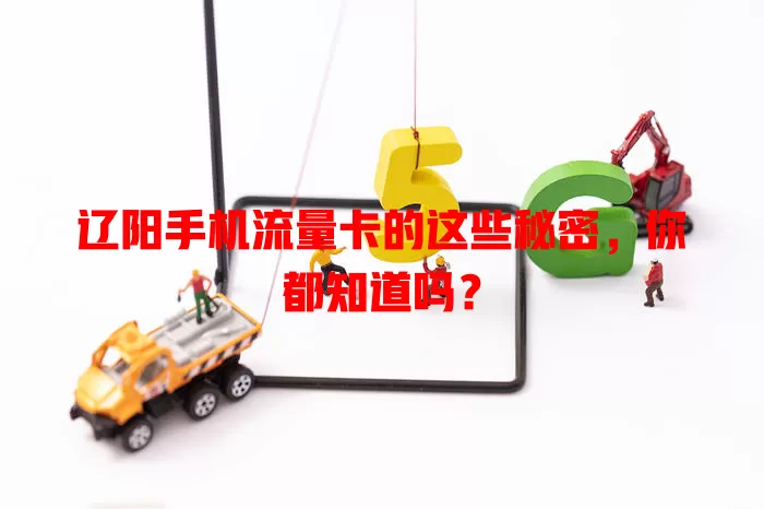 辽阳手机流量卡的这些秘密，你都知道吗？