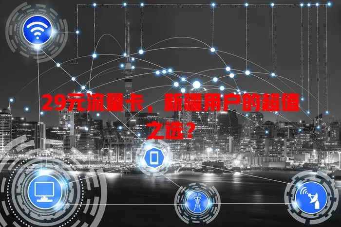 29元流量卡，新疆用户的超值之选？