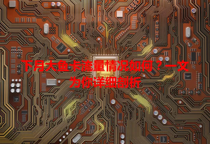 下月大鱼卡流量情况如何？一文为你详细剖析