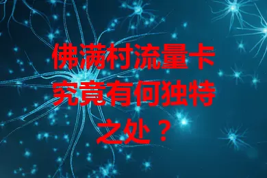 佛满村流量卡究竟有何独特之处？