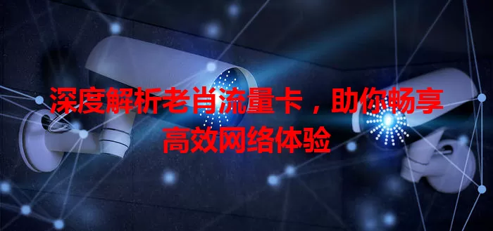 深度解析老肖流量卡，助你畅享高效网络体验