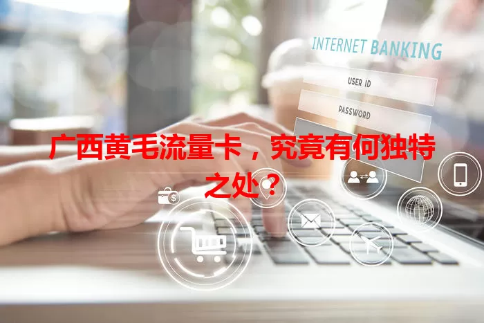 广西黄毛流量卡，究竟有何独特之处？