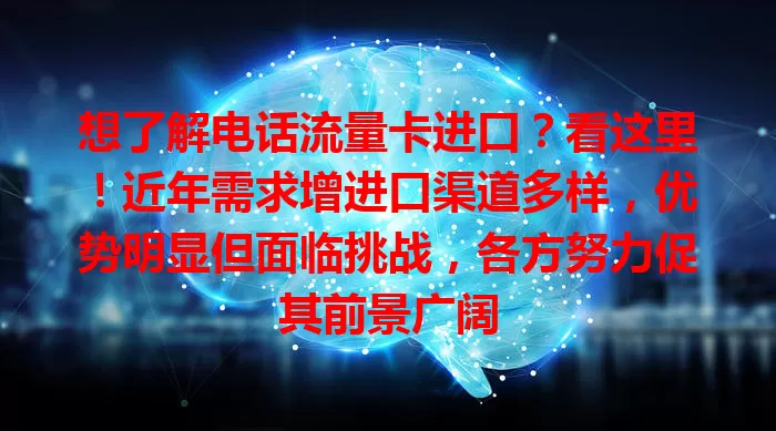 想了解电话流量卡进口？看这里！近年需求增进口渠道多样，优势明显但面临挑战，各方努力促其前景广阔