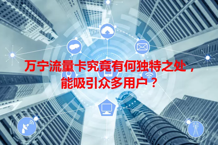 万宁流量卡究竟有何独特之处，能吸引众多用户？