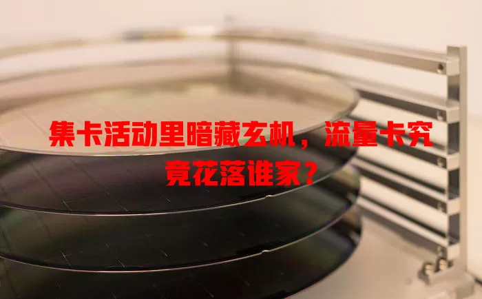 集卡活动里暗藏玄机，流量卡究竟花落谁家？