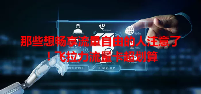 那些想畅享流量自由的人注意了！飞拉力流量卡超划算