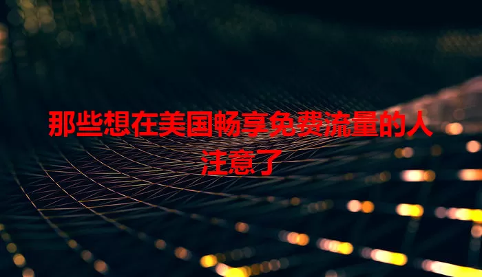 那些想在美国畅享免费流量的人注意了