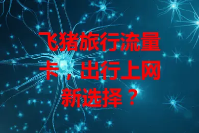 飞猪旅行流量卡，出行上网新选择？