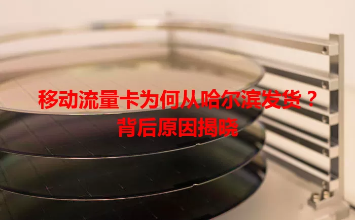 移动流量卡为何从哈尔滨发货？背后原因揭晓