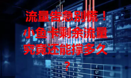 流量告急别慌！小鱼卡剩余流量究竟还能撑多久？